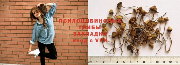 мяу мяу кристалл Нягань