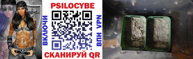 Купить где  Мытищи  Псилоцибиновые грибы прущие грибы 